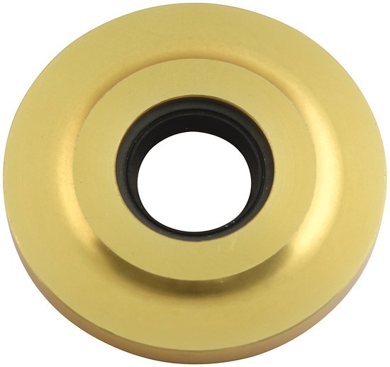 Cam Seal Plate Gold 2.253 - 90086