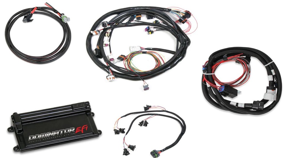 Holley - EFI Kit LS2 with Trans Control - 550-658
