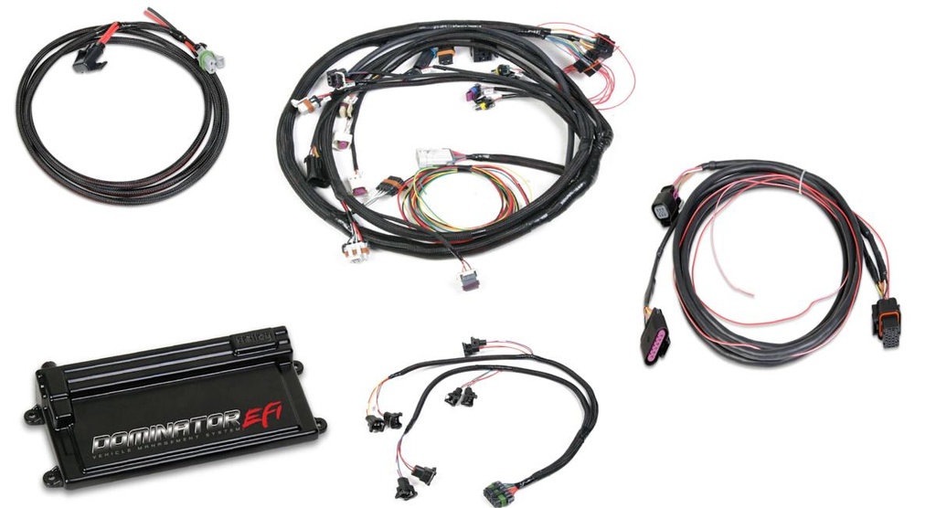 Holley - EFI Kit LS2 with DBW - 550-659