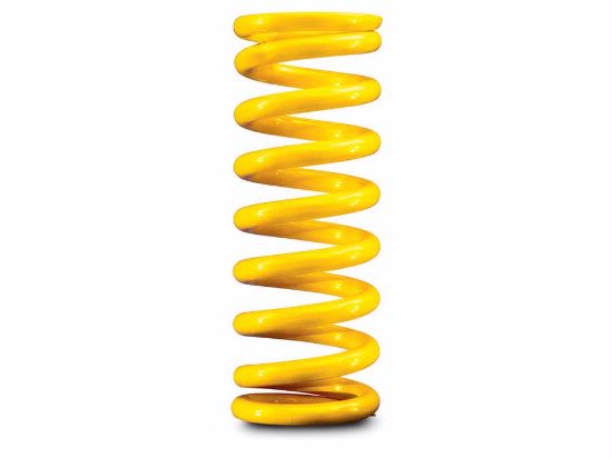 CLOSEOUT -Afco Coil Over Spring 12"H x 2 5/8" I.D. 425
